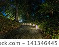 A magical walking path illuminated by small Japanese lanterns leads through the forest of Koishikawa Korakuen Garden at night. January 2024. 141346445