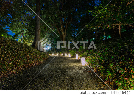 A magical walking path illuminated by small Japanese lanterns leads through the forest of Koishikawa Korakuen Garden at night. January 2024. A magical walking path illuminated by small Japanese lanterns leads through the forest of Koishikawa Korakuen Garden at night. January 2024. 141346445