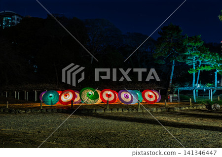 Koishikawa Korakuen Garden at night, beautifully lined with traditional Japanese umbrellas illuminated in vibrant colors, January 2024. 141346447