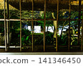A view of the illuminated Koishikawa Korakuen Garden and the Tokugawa family's encampment tents, seen through the latticework of the Kyuhachiya inn. January 2024. 141346450