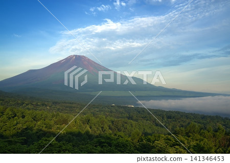 Mount Fuji and Lake Yamanaka in a sea of clouds. A spectacular view of the red Fuji in summer, against the vibrant morning blue sky and fresh greenery, as seen from the Myojin-yama Panorama Platform in Yamanashi Prefecture. Mount Fuji and Lake Yamanaka in a sea of clouds. A spectacular view of the red Fuji in summer, against the vibrant morning blue sky and fresh greenery, as seen from the Myojin-yama Panorama Platform in Yamanashi Prefecture. 141346453