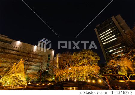2024 年 1 月,夜幕下的石川後樂園,白雪皚皚的樹木在燈光的映襯下,遠處可見高聳入雲的摩天大樓。 2024 年 1 月,夜幕下的石川後樂園,白雪皚皚的樹木在燈光的映襯下,遠處可見高聳入雲的摩天大樓。 141346750