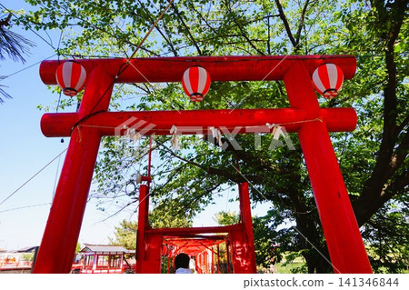 Mount Ontake, Hakuryu Shrine, Gotanda Marsh, Torii gate, Bridge, Gunma, Isesaki 141346844