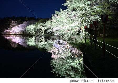 Cherry blossoms illuminated at night at Benten-gata Scenic Park (Seiro-machi, Niigata Prefecture) Cherry blossoms illuminated at night at Benten-gata Scenic Park (Seiro-machi, Niigata Prefecture) 141346880