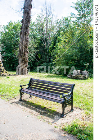 在倫敦西部的奇斯威克莊園公園,一根黑色的熨斗在明亮的陽光下彎曲。 在倫敦西部的奇斯威克莊園公園,一根黑色的熨斗在明亮的陽光下彎曲。 141346971
