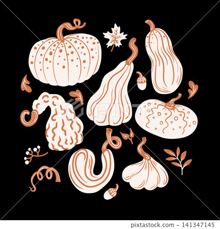 Pumpkin autumn graphic with gourds leaves minimal modern cozy design illustration 141347145