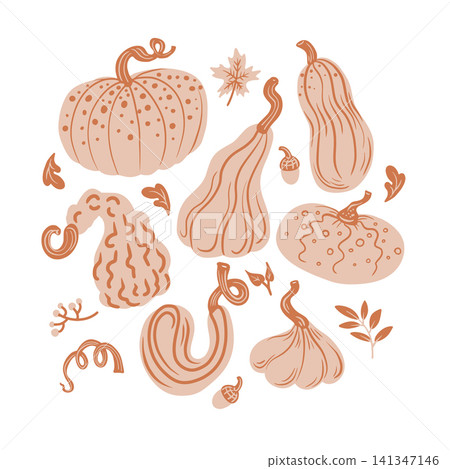 Pumpkin autumn graphic with gourds leaves minimal modern cozy design illustration Pumpkin autumn graphic with gourds leaves minimal modern cozy design illustration 141347146