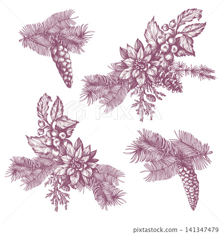 Christmas Pine Isolated Elements Set with Cones Branches Berries Floral Botanical Holiday Clipart Christmas Pine Isolated Elements Set with Cones Branches Berries Floral Botanical Holiday Clipart 141347479