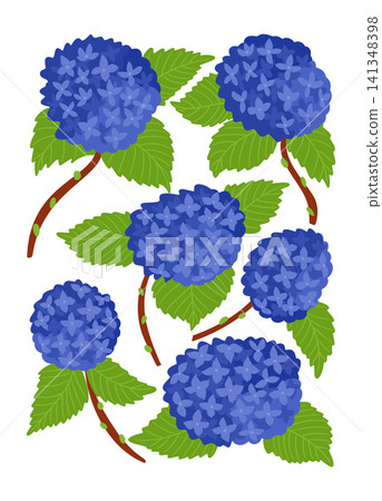 Illustration of blue hydrangea flowers with green leaves arranged in a seamless pattern on a white background, highlighting vibrant colors and intricate details Illustration of blue hydrangea flowers with green leaves arranged in a seamless pattern on a white background, highlighting vibrant colors and intricate details 141348398