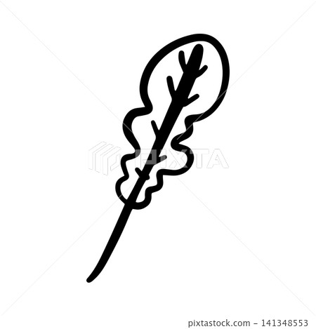 Hand-drawn doodle arugula leaf illustration isolated on a white background. Simple black outline herb sketch for menus, restaurants, food packaging, labels Hand-drawn doodle arugula leaf illustration isolated on a white background. Simple black outline herb sketch for menus, restaurants, food packaging, labels 141348553