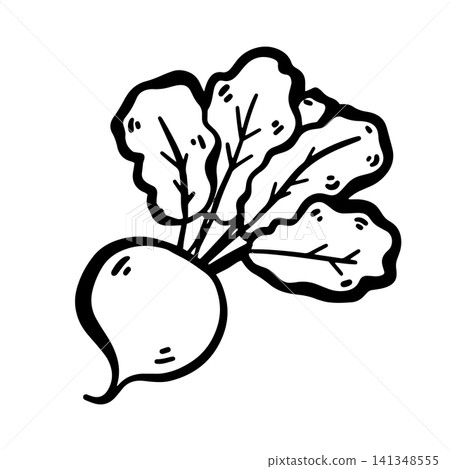 Hand-drawn doodle beetroot illustration isolated on a white background. Simple black outline vegetable sketch for menus, restaurants, food packaging, labels, stickers, and healthy food designs. Hand-drawn doodle beetroot illustration isolated on a white background. Simple black outline vegetable sketch for menus, restaurants, food packaging, labels, stickers, and healthy food designs. 141348555