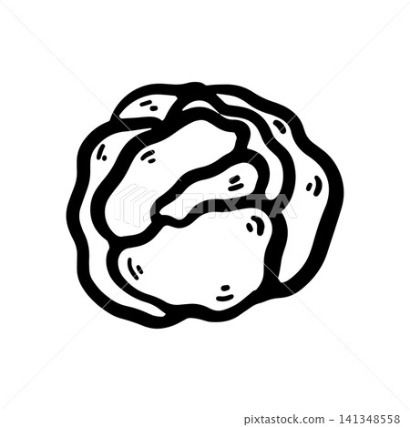 Hand-drawn doodle cabbage illustration isolated on a white background. Simple black outline vegetable sketch for menus, restaurants, food packaging, labels 141348558