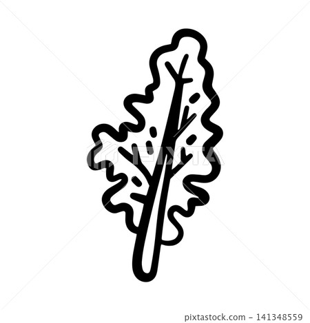 Hand-drawn doodle kale leaf illustration isolated on a white background. Simple black outline leafy green sketch for menus, restaurants, food packaging, labels, stickers, and healthy food designs. Hand-drawn doodle kale leaf illustration isolated on a white background. Simple black outline leafy green sketch for menus, restaurants, food packaging, labels, stickers, and healthy food designs. 141348559