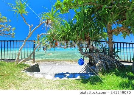 [Okinawa Prefecture] Bisezaki Beach under clear skies 141349070