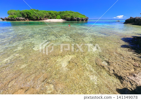[Okinawa Prefecture] Bisezaki Beach under clear skies 141349078