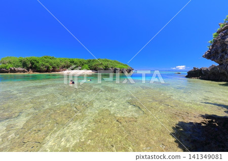 [Okinawa Prefecture] Bisezaki Beach under clear skies 141349081