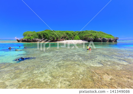 [Okinawa Prefecture] Bisezaki Beach under clear skies 141349086