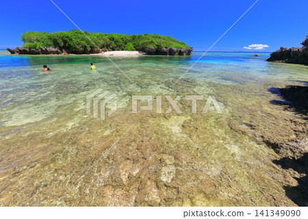 [Okinawa Prefecture] Bisezaki Beach under clear skies 141349090