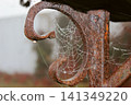 Close-up photograph of a weathered rusty iron hook with a delicate spider web covered in dew droplets. The aged metal texture, intricate web strands, soft blurred background, rustic autumn atmosphere 141349220