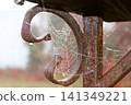 Close-up photograph of a weathered rusty iron hook with a delicate spider web covered in dew droplets. The aged metal texture, intricate web strands, soft blurred background, rustic autumn atmosphere 141349221