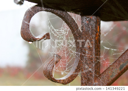 Close-up photograph of a weathered rusty iron hook with a delicate spider web covered in dew droplets. The aged metal texture, intricate web strands, soft blurred background, rustic autumn atmosphere Close-up photograph of a weathered rusty iron hook with a delicate spider web covered in dew droplets. The aged metal texture, intricate web strands, soft blurred background, rustic autumn atmosphere 141349221