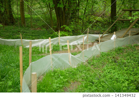 Barrier frog amphibian small reptiles safety from the asphalt road accident car newt exclusion fencing white plastic fence galvanized steel heavy duty fabric vertical safety control movement Barrier frog amphibian small reptiles safety from the asphalt road accident car newt exclusion fencing white plastic fence galvanized steel heavy duty fabric vertical safety control movement 141349432