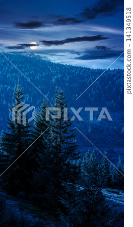 landscape with coniferous forest behind the meadow at night. full moon over nature background with carpathian mountains of ukraine. mysterious view of transcarpathia alpine woodland landscape with coniferous forest behind the meadow at night. full moon over nature background with carpathian mountains of ukraine. mysterious view of transcarpathia alpine woodland 141349518