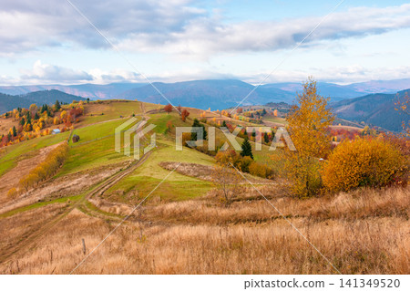 winding rural dirt path through hill. rolling countryside of ukraine in fall color. cloudy morning sky. carpathian mountains in autumn 141349520