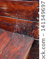 Close-up photograph of a delicate spider web decorated with tiny dew droplets, suspended against aged dark wooden boards. Natural autumn scene. Nature, macro photography, rustic backgrounds, wildlife 141349697