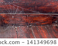 Close-up photograph of a delicate spider web decorated with tiny dew droplets, suspended against aged dark wooden boards. Natural autumn scene. Nature, macro photography, rustic backgrounds, wildlife 141349698