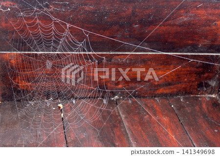 Close-up photograph of a delicate spider web decorated with tiny dew droplets, suspended against aged dark wooden boards. Natural autumn scene. Nature, macro photography, rustic backgrounds, wildlife Close-up photograph of a delicate spider web decorated with tiny dew droplets, suspended against aged dark wooden boards. Natural autumn scene. Nature, macro photography, rustic backgrounds, wildlife 141349698