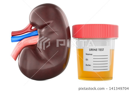 Kidney and urine test sample container. Urinalysis, renal health screening, laboratory diagnostics and kidney disease detection, 3d rendering Kidney and urine test sample container. Urinalysis, renal health screening, laboratory diagnostics and kidney disease detection, 3d rendering 141349704