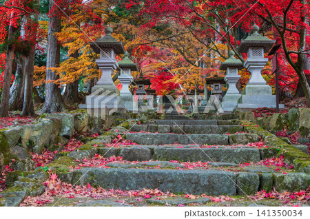[Kiyomizu-dera Temple] The epitome of beauty [Nagano City] 141350034