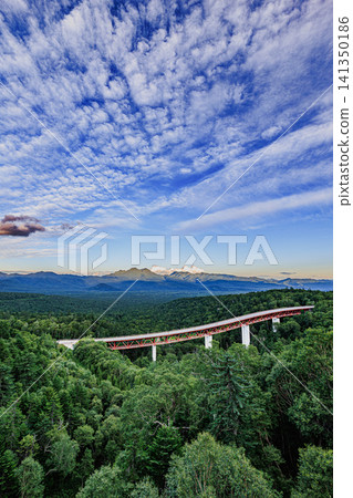 The historic Matsumi Bridge, which crosses a vast, seemingly endless primeval forest, offers a breathtaking summer view. The historic Matsumi Bridge, which crosses a vast, seemingly endless primeval forest, offers a breathtaking summer view. 141350186
