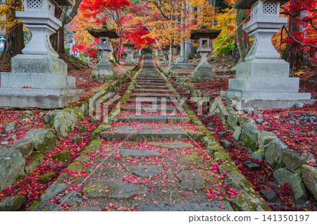 [Kiyomizu-dera Temple] The epitome of beauty [Nagano City] 141350197