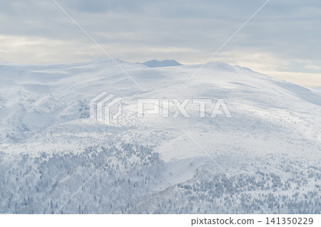 白雪皚皚的山峰籠罩在柔和的雲霧之中。 白雪皚皚的山峰籠罩在柔和的雲霧之中。 141350229