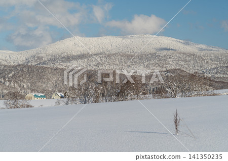 Mountains covered in frost and winter pastures Mountains covered in frost and winter pastures 141350235