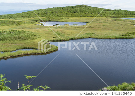 A landscape of blue swamps spreading across a green plateau. A landscape of blue swamps spreading across a green plateau. 141350440
