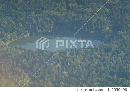 Overlooking a blue swamp surrounded by forest Overlooking a blue swamp surrounded by forest 141350498