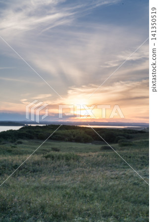 A grassland at dusk and the setting sun A grassland at dusk and the setting sun 141350519