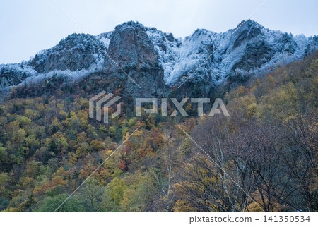 白雪皚皚的岩峰和秋色斑斕的森林 141350534
