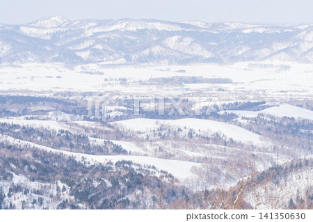 An aerial view of windbreaks lining a snow-covered plain. An aerial view of windbreaks lining a snow-covered plain. 141350630