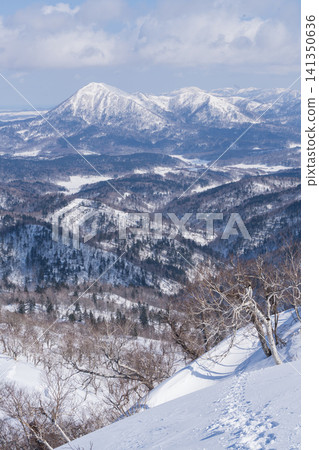 Distant view of snow-capped mountains and winter sky Distant view of snow-capped mountains and winter sky 141350636
