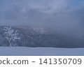 A single tree covered in frost stands in a snowfield. 141350709