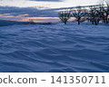 Snowfields and winter trees bathed in the sunset light 141350711