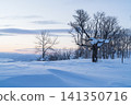 A single tree standing in a snow-covered field at dusk. 141350716
