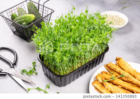 Fresh organic pea shoot microgreens growing in a tray Fresh organic pea shoot microgreens growing in a tray 141350893