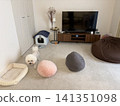 客廳裡，一隻白色比熊犬和它的主人在一起。 141351098