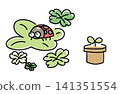 Illustration set of four-leaf clovers and ladybugs | Natural elements for spring and early summer 141351554