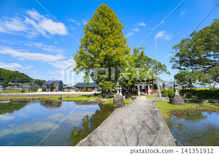 Seinoike Seinoike 141351912